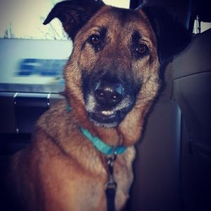 Meet your Posher, Logan